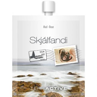 Terractive Skjálfandi Mud Facial Mask, 16g