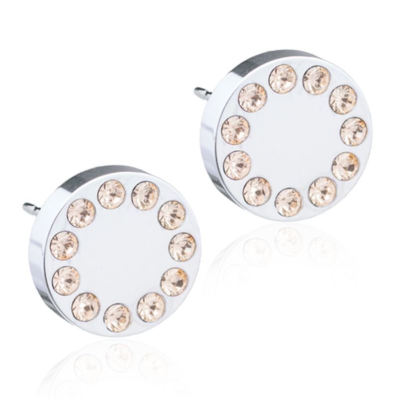 Blomdahl Silver Titanium Earrings - Golden Rose Puck