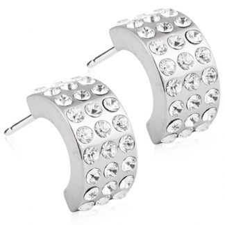 Blomdahl Natural Titanium Earrings - Brilliance Curved Crystal Thick