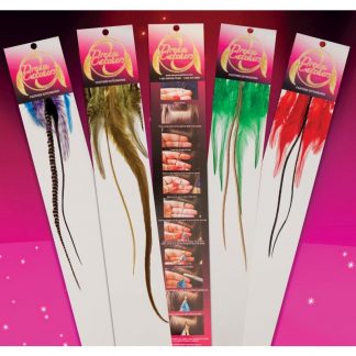 6 Feather Hair Extension