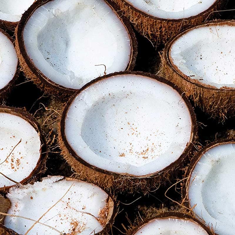 Be Care Love SuperFoods Natural & Gentle Whipped Vanilla Coconut Cream Super Moisturizing Detangler, 147ml - Image 3