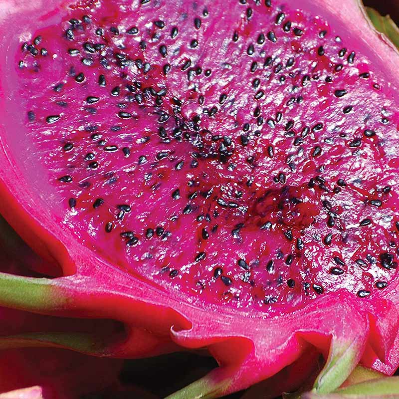 Be Care Love SuperFoods Color Defense Serum, 60ml - Image 4