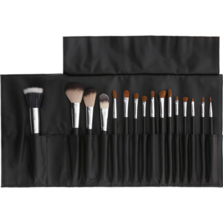 Crown 16 Piece Professional Essentials Make-Up Brush Set