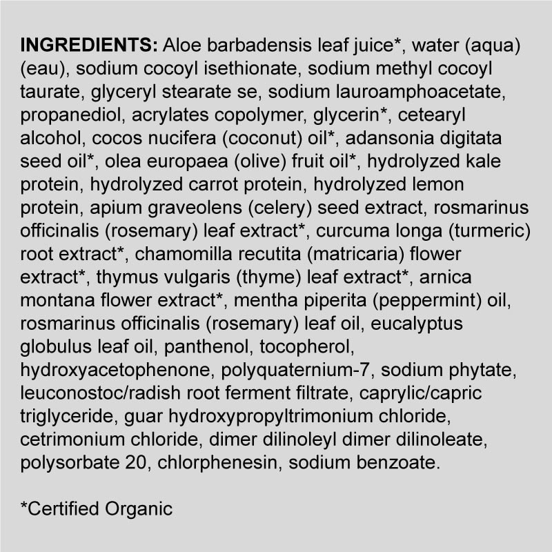 LOMA Essentials Moisturizing Shampoo & Body Wash with Healthy Scalp Complex, 355ml - Image 2