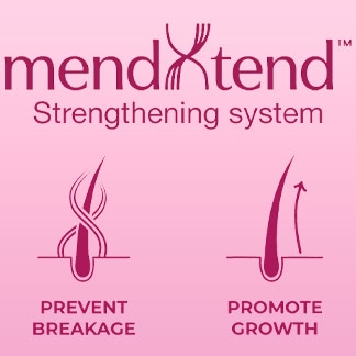 MendXtend Strengthening System